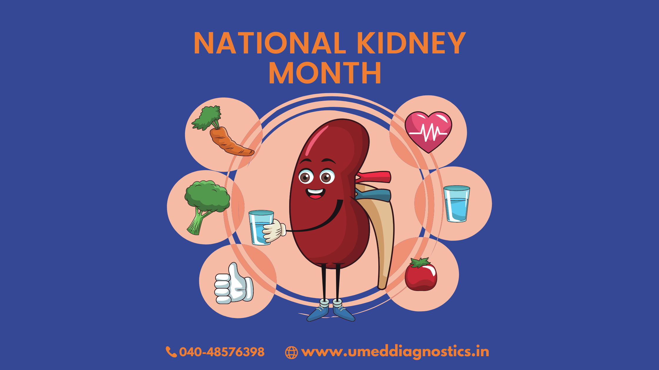 Kidney Disease Myth's & Facts National Kidney Month